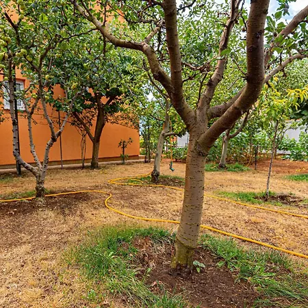 With Sea View 11 Apartament *