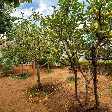 With Sea View 11 * 沃迪切