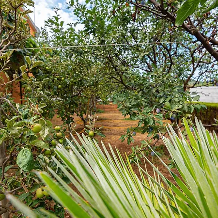 With Sea View 11 沃迪切