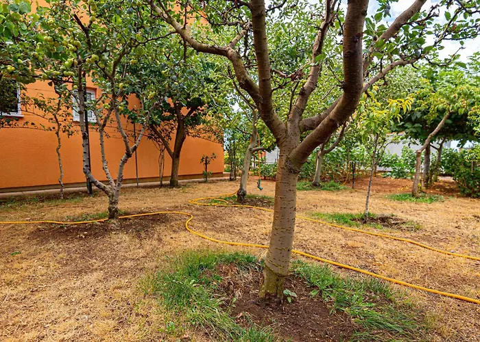 With Sea View 11 Apartament *