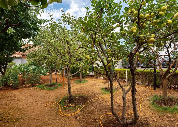 With Sea View 11 * Vodice