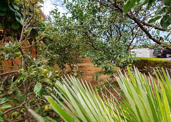 With Sea View 11 Vodice